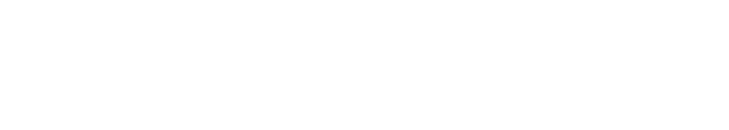 LeadsFlow